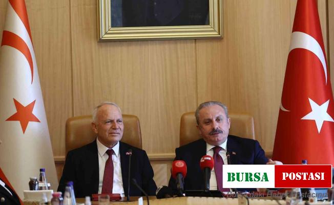 TBMM Başkanı Şentop, KKTC Meclis Başkanı Töre ile bir araya geldi