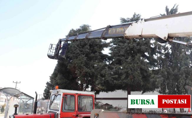 Tehlikeli durum ortadan kaldırıldı