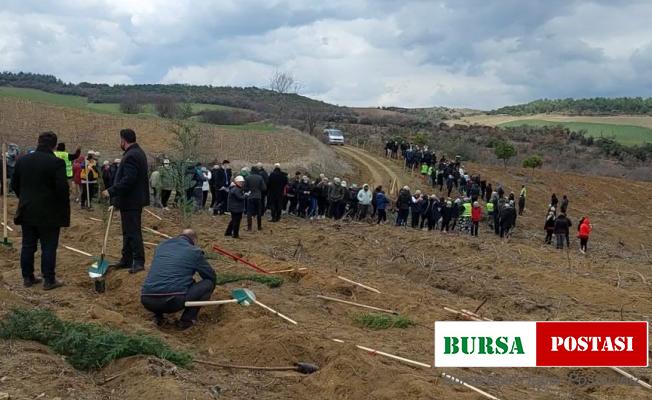 Tekirdağ’da 300 bin fidan toprakla buluşturuldu