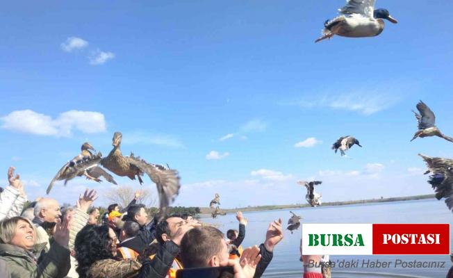 Tekirdağ’da bin adet yaban ördeği suya bırakıldı