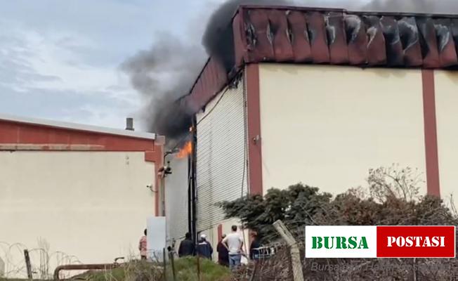Tekstil fabrikası alev alev yandı