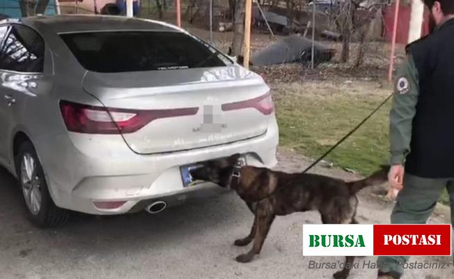 TEM’de 4 kilo 700 gram esrar ele geçirildi: 1 gözaltı