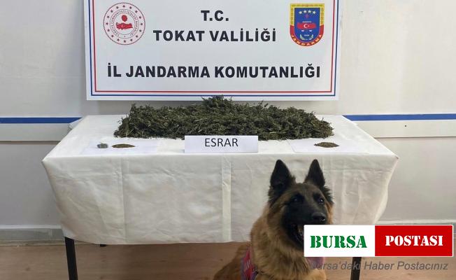 Tokat merkezli 3 ilde uyuşturucu operasyonu: 24 kişi gözaltı