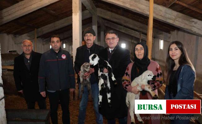 Tokat’ta 2 yılda 912 çiftçi sürü sahibi oldu