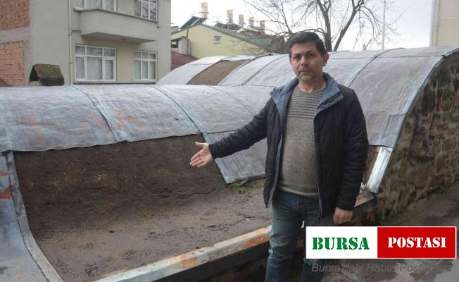 Tokat’ta 8 asırlık tarihi türbenin kurşun çatı levhaları çalındı