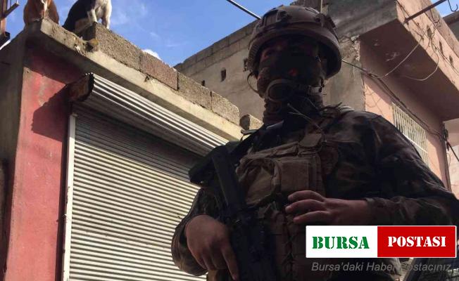 Torbacının pitbullarına polis el koydu