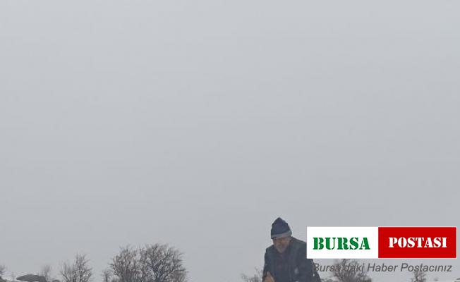 Tunceli’de yaban hayvanları için doğaya yem bırakıldı