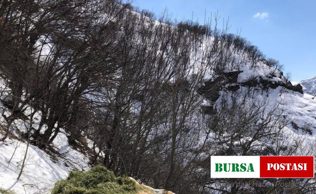 Tunceli’de yaban hayvanları için doğaya yem bırakıldı