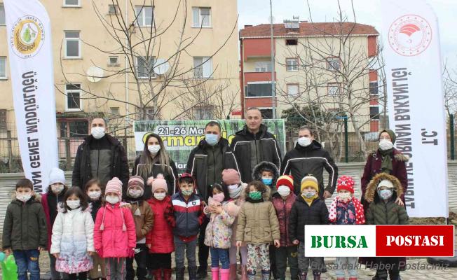 Türkeli’de Orman Haftası etkinliği