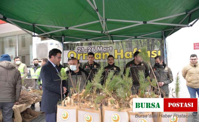 Türkeli’de vatandaşlara bin fidan dağıtıldı