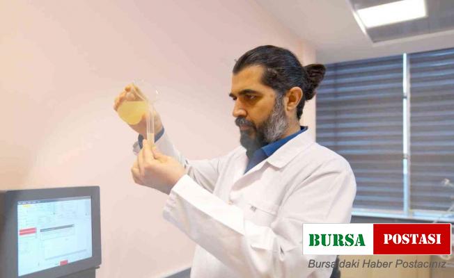 Türkiye’de bir ilk: “Propolis zeytinyağında çözülüyor”