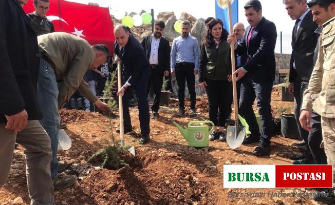 Tut’ta fidanlar toprakla buluştu