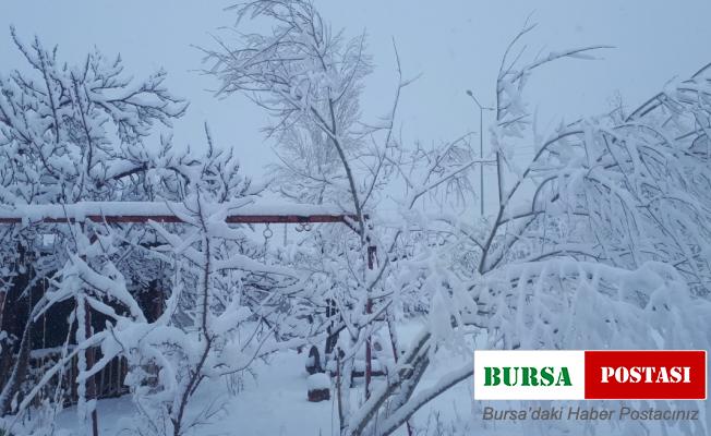 Tuzluca’da kar yağışı etkili oluyor