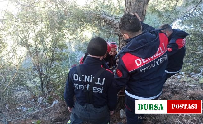 Uçurumda mahsur kalan 4 keçi kurtarıldı