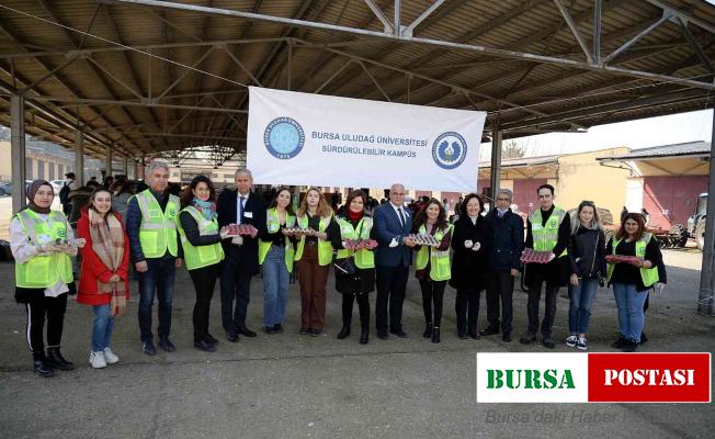 Uludağ Üniversitesi kampüsü tohum toplarıyla yeşermeye devam edecek