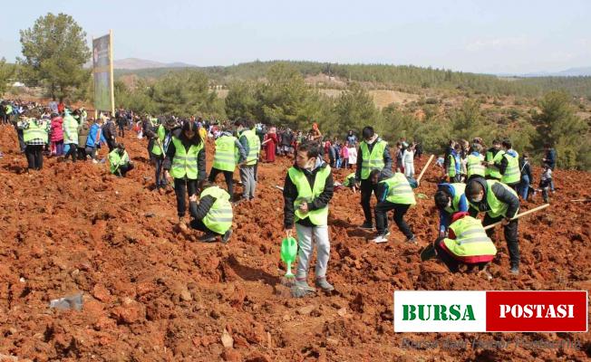 Uşak’ta yüzlerce öğrenci 3 bin 250 sedir fidanını toprakla buluştu
