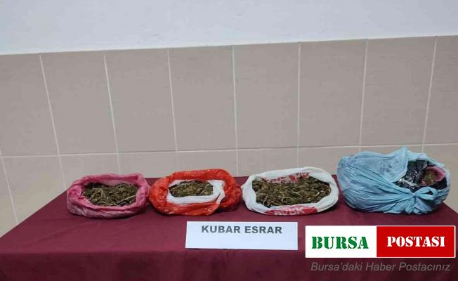 Uyuşturucu operasyonunda 4 şahıs gözaltına alındı
