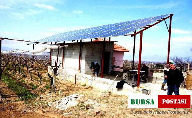 Üzüm bağlarına güneş enerjili sulama