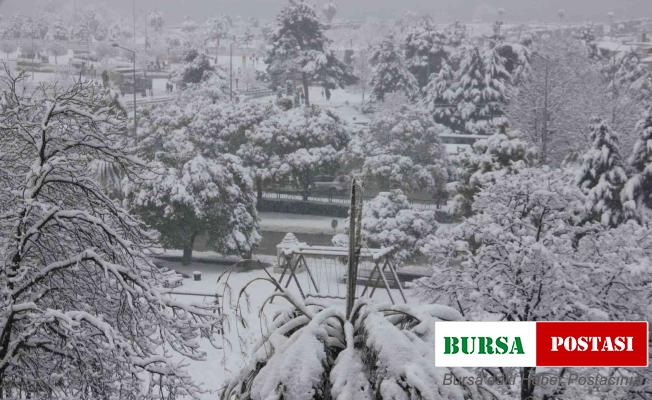Vali Dağlı: “Samsun’da kar yağışında olumsuz bir durumla karşılaşılmadı”