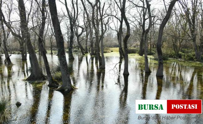 Vali Dağlı’dan Kuş Cenneti’ne davet: “Herkes bu doğal güzelliği görmeli”