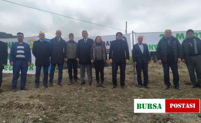 Vezirköprü’de 36 bin 950 fidan toprak ile buluşacak