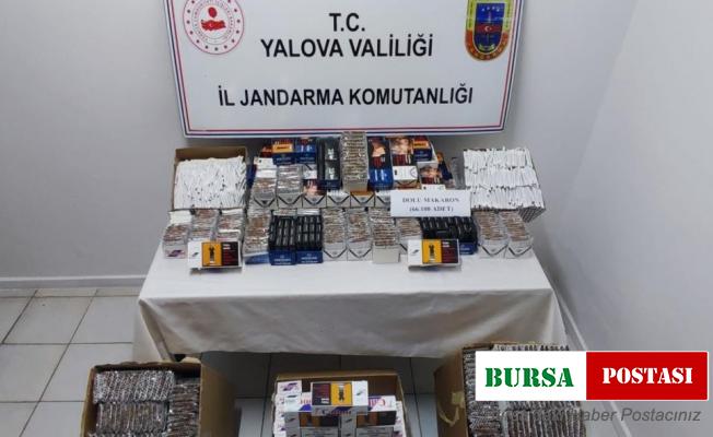 Yalova’da 66 bin 100 adet dolu makaron ele geçirildi