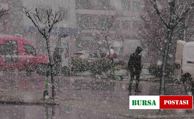 Yalova’da kar yağışı hayatı olumsuz etkiliyor