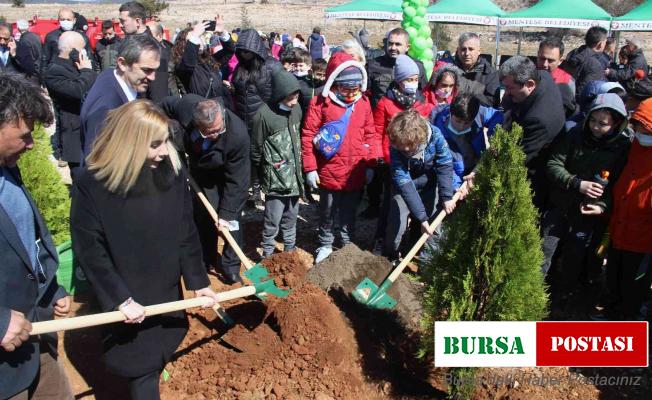 Yanan sahaların yüzde 75’inde çalışmalar tamamlandı