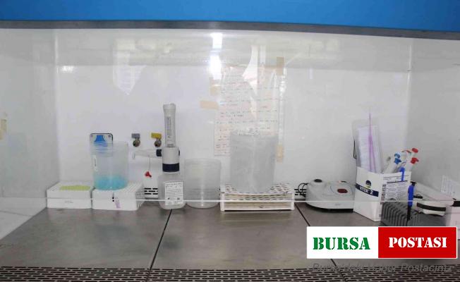 Yanlış kullanımda sağlığa zarar veren antibiyotiklerin dünyada ekonomiye maliyeti 100 trilyon dolar olarak ön görülüyor