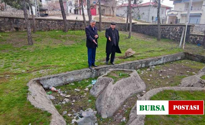 Yarım asırlık havuzun hikayesi yürek burkuyor