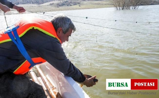 Yasak 15 Haziran’a kadar sürecek