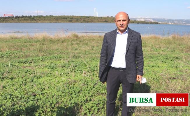 Yeşil Altınova için her yıl 3 bin fidan toprakla buluşuyor