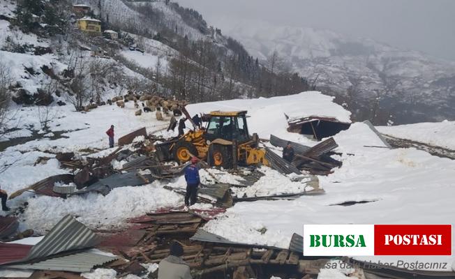 Yoğun kara dayanamayan ahırın çatısı çöktü, 5 koyun telef oldu