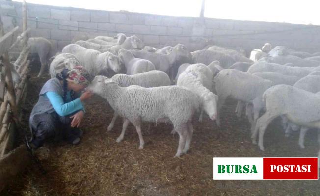 Yolu kapatılan besici kadın açlık grevine başladı