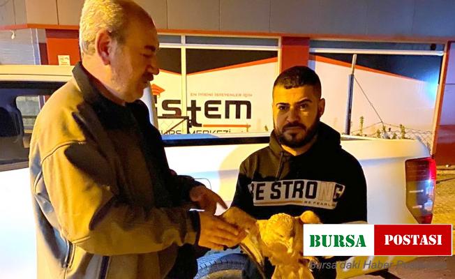 Yorgun düşen şahin tedavi altına alındı