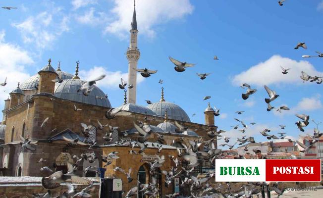 Yozgat esnafının ilk müşterileri güvercinler oluyor