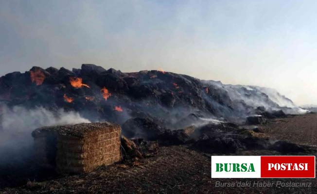 Yozgat’ta bin 500 saman balyası küle döndü