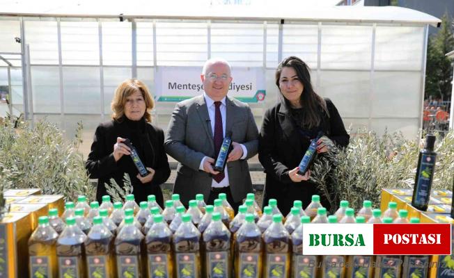 Zeytinyağları ihtiyaç sahiplerine dağıtılıyor