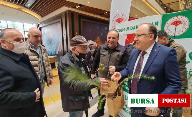 Zonguldak’ta vatandaşlara bin adet fidan dağıtıldı