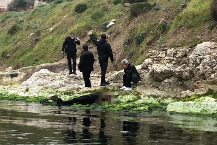 Mudanya’da kayalıklardan atlayarak intihar eden genç ölü bulundu