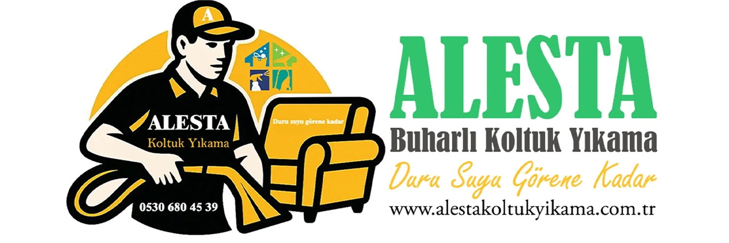 Bursa Koltuk Yıkama – Buharlı Temizleme – ALESTA